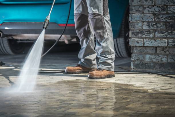 Pre-Holiday Cleaning in Rogersville, AL